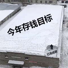 今年存钱目标 VS 已完成数（今年存钱目标 VS 已完成数）