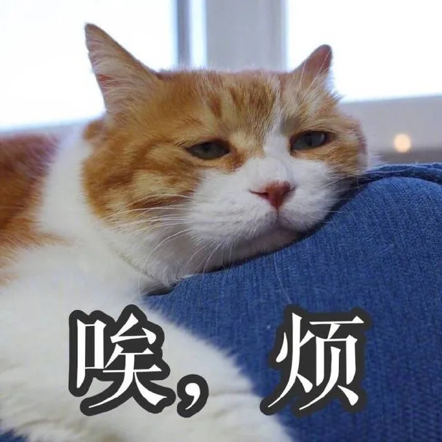唉，烦