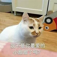 我不是你最爱的小甜甜了吗?