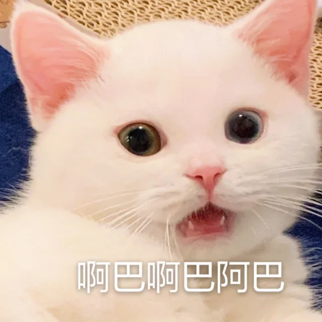 啊巴啊巴阿巴(猫猫表情包)（啊巴啊巴阿巴(猫猫表情包)）