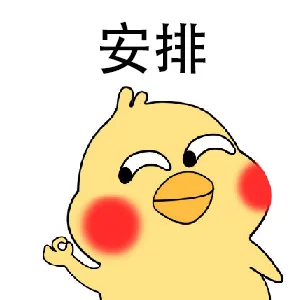 安排