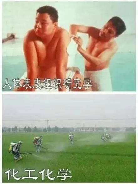 人体表皮组织研究学 VS 化工化学（人体表皮组织研究学 VS 化工化学）