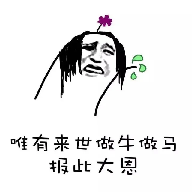 唯有来世做牛做马报此大恩（唯有来世做牛做马报此大恩）