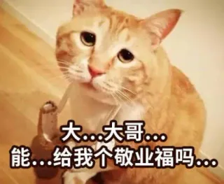 大哥，能给我个敬业福吗