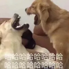 哈哈哈哈哈哈哈哈哈哈哈哈哈哈哈哈（哈哈哈哈哈哈哈哈哈哈哈哈哈哈哈哈）