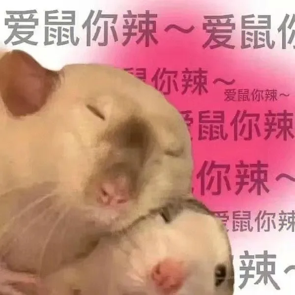 爱鼠你辣~爱鼠你辣~爱鼠你辣~鼠你辣你辣爱鼠你辣辣(鼠鼠表情包)（爱鼠你辣~爱鼠你辣~爱鼠你辣~鼠你辣你辣爱鼠你辣辣(鼠鼠表情包)）