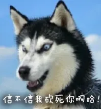 doge表情包再次来袭_doge表情包