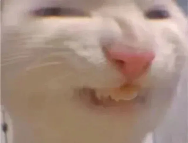 无字表情包 猫猫（无字表情包 猫猫）