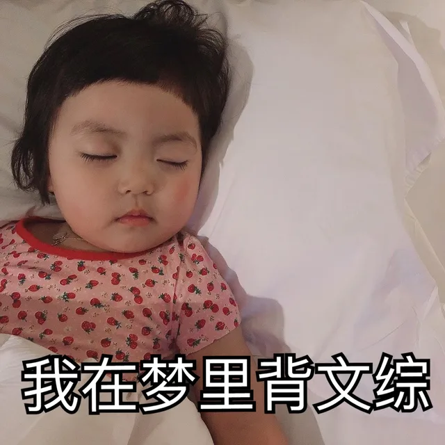 我在梦里背文综