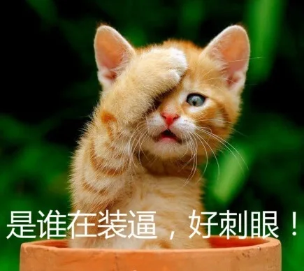是谁在装逼，好刺眼！