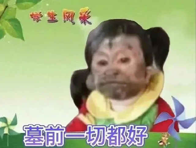 学生风采墓前一切都好(吗喽表情包)（学生风采墓前一切都好(吗喽表情包)）