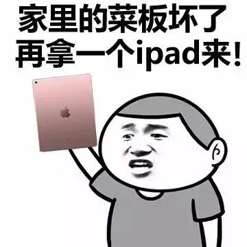家里的菜板坏了 再拿一个ipad来！