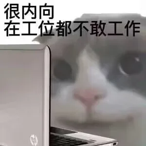 很内向在工位都不敢工作（很内向在工位都不敢工作）