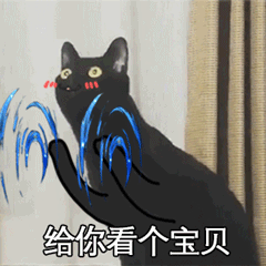 长颈黑猫动图系列_长颈猫_黑猫_猫咪表情包