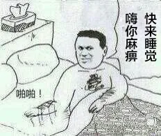 睡你麻痹，起来嗨（胖虎）（睡你麻痹，起来嗨（胖虎））