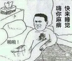 睡你麻痹，起来嗨（胖虎）