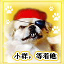 小样，等着瞧