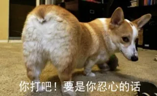 你打吧！要是你忍心的话