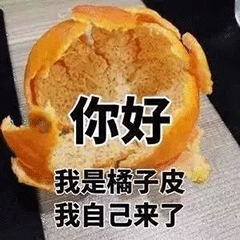 你好，我是橘子皮，我自己来了（你好，我是橘子皮，我自己来了）