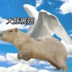 大豚展翅(水豚表情包)（大豚展翅(水豚表情包)）