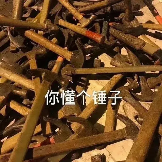 你懂个锤子（你懂个锤子）