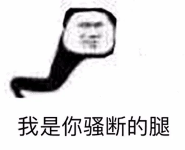我是你骚断的腿