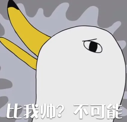 比我帅？不可能