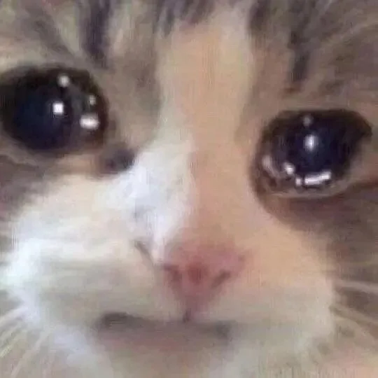流泪猫猫头