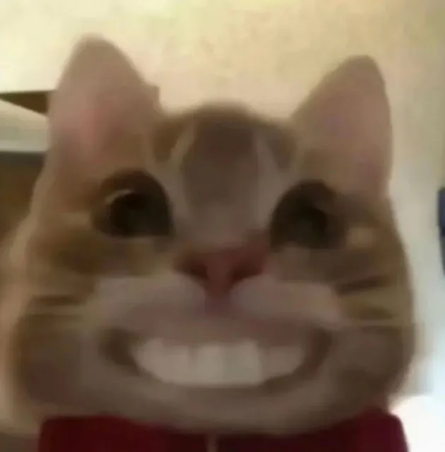 歪嘴猫猫表情包（歪嘴猫猫表情包）