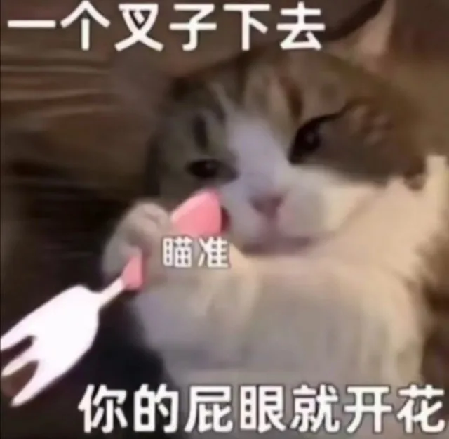 一个叉子下去瞄准你的屁眼就开花（一个叉子下去瞄准你的屁眼就开花）