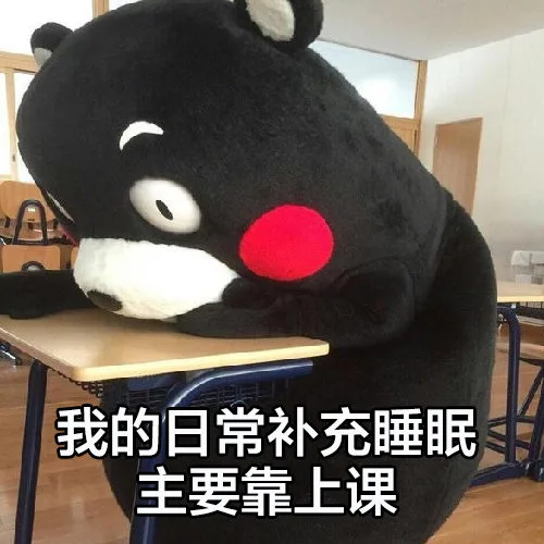 我的日常补充睡眠主要靠上课