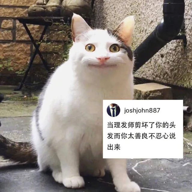 当理发师剪坏了你的头发而你太善良不忍心说出来