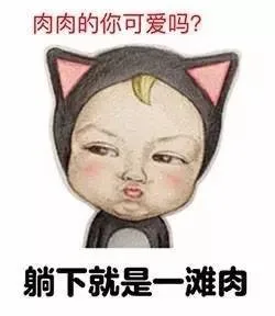 长满肉肉的Sadayuki_动图_sadayuki_可爱_萌萌哒