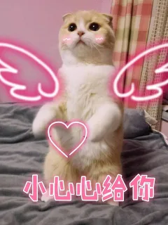小心心给你