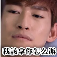 我该拿你怎么办（我该拿你怎么办）