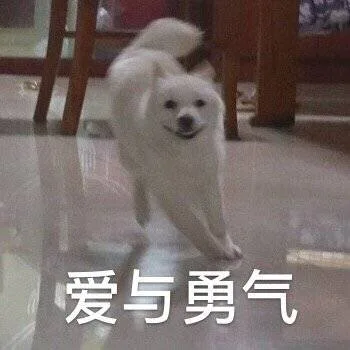 爱与勇气（爱与勇气）