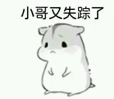 小哥又失踪了（小哥又失踪了）