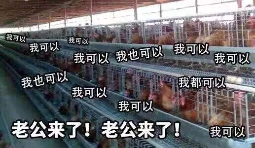 养鸡场：老公来了！我可以 选我