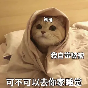 期待我自带被被可不可以去你家睡觉（期待我自带被被可不可以去你家睡觉）