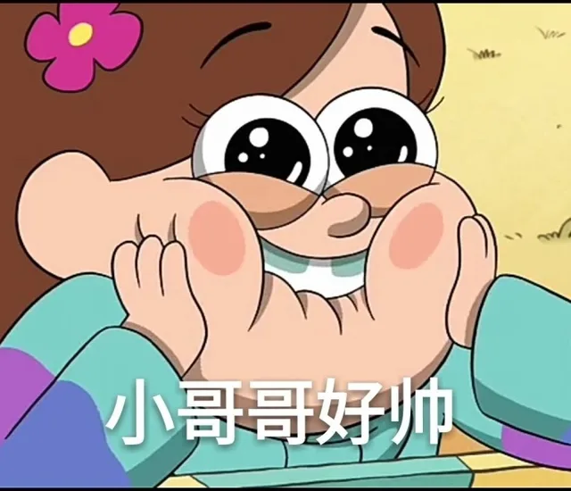 小哥哥好帅（花痴脸）