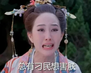 总有刁民想想朕