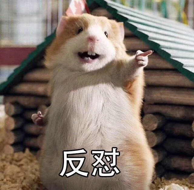 反怼