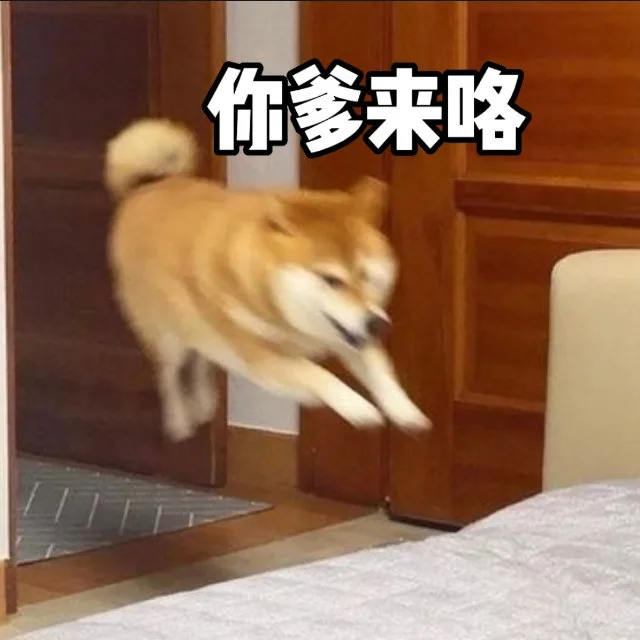 你爹来咯（你爹来咯）