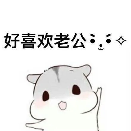 好喜欢老公:.◇（好喜欢老公:.◇）