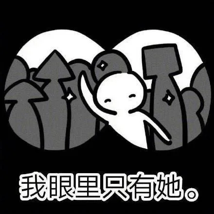 我眼里只有她
