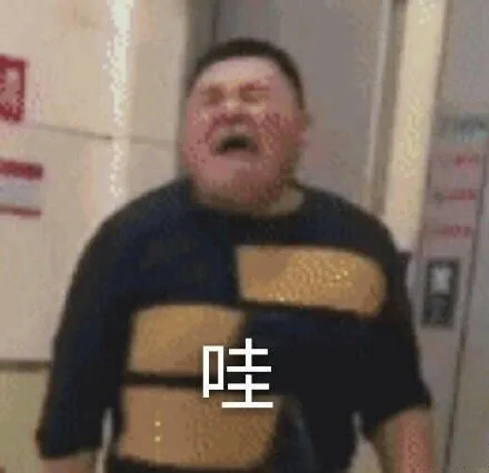 哇的一声哭了