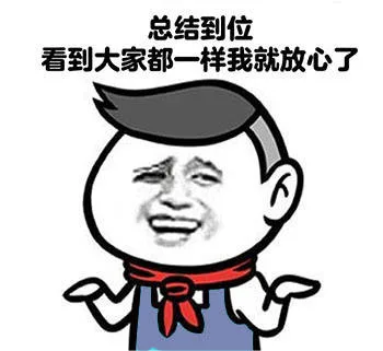 总结到位，看到大家都一样我就放心了（总结到位，看到大家都一样我就放心了）