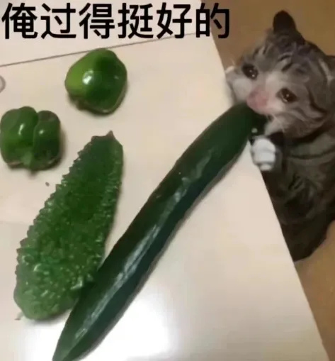 俺过得挺好的（俺过得挺好的）
