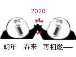 2020年，明年春来再相邀