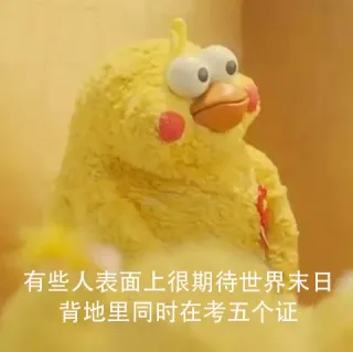 我虽然穷，但我表里如一啊 _鹦鹉兄弟_内涵